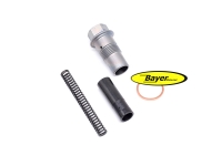 Steuerkettenspanner rechts (Satz), BMW R4V