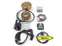 Alternatore "Silent-Hektik" 410W (107mm) con kit accensione singola