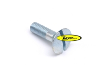 Upphöjd försänkt huvudskruv för skydd av gasreglaget / kam, BMW R2V Boxer upp till 09/80