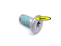 Fästskruv för bakre bromsskiva, BMW R4V-modeller