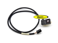 Interruptor de advertencia de peligro R100GS R80GS